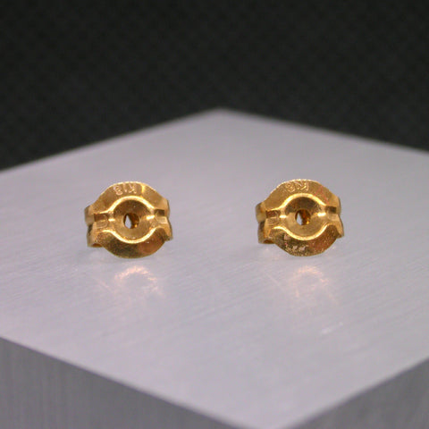 Pt ピアス